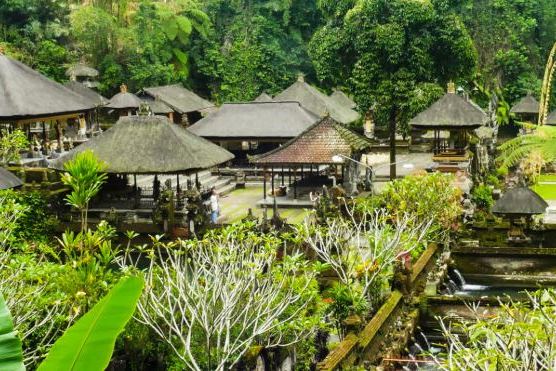 bali tour to gunung kawi temple tegallalang - best price today