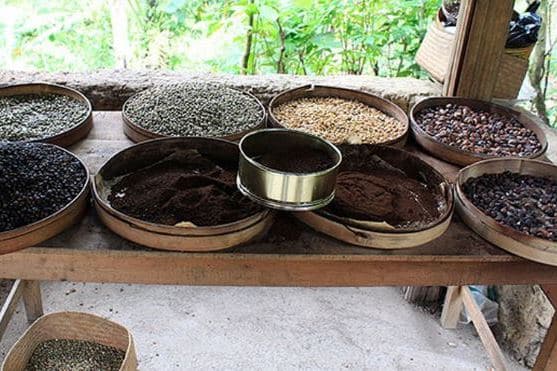 bali coffee agrotourism-luwak coffee bali original-coffee maker