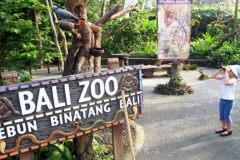 Bali Zoo Kebun Binatang Bali - Special offer today