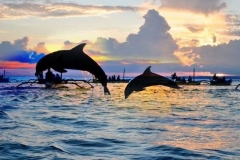 Lovina north Bali Sunrise tour with dolphin