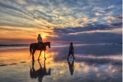 horse riding at Canggu-special price to book online today