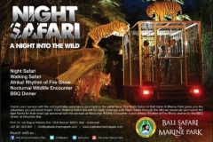 Night safari-night into the wild-special offer Edy Ubud Tour