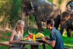 Bali Zoo Park Tour
