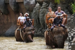 Bali zoo-Open Hutan Sumatera