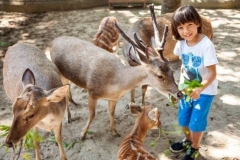 Bali zoo tour - best deal Bali Zoo exploration packages