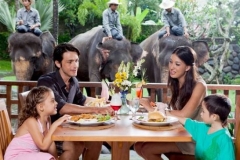 Eating accompanied by Elephant at Bali Zoo - activity package