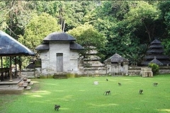 bali alas kedaton; bali forest; walk into the forest; tour to Bali; edy ubud tour;