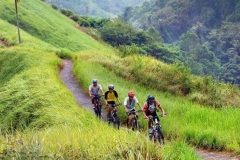 Balinese village cycling tour and sightseeing