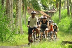 Cycling tour ubud village