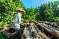 Kusamba Village -traditional salt mining - time to explore East Bali - Special offer today