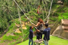 Bali swing test your adrenaline