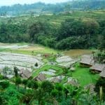 Pacung rice terrace-tour recommendation-bali tour package